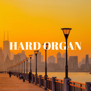 Бит Hard Organ