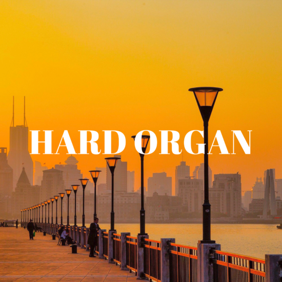 Бит Hard Organ