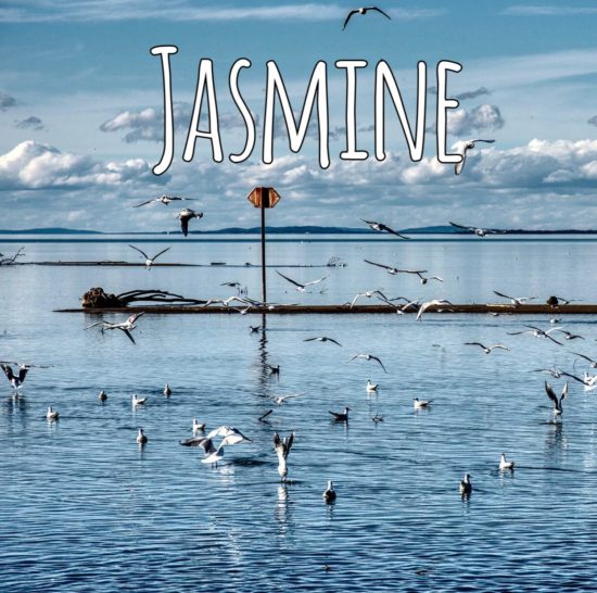 Бит Jasmine