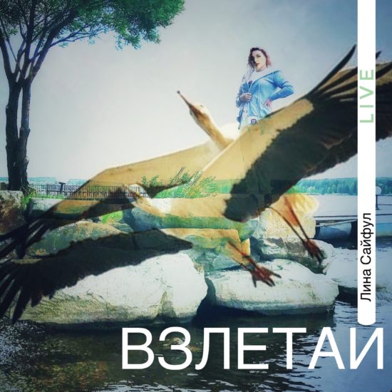 Взлетай