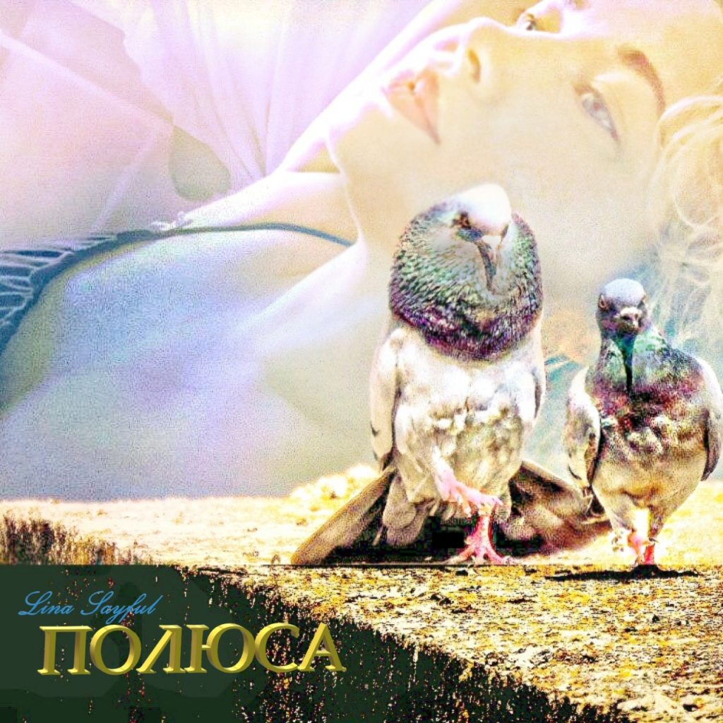 Полюса